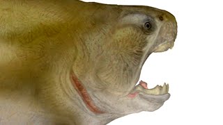 Paleo Profile  Dunkleosteus [upl. by Dnilazor398]