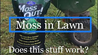 Moss in Lawn  Lilly Miller MOSS OUT Review [upl. by Padget]