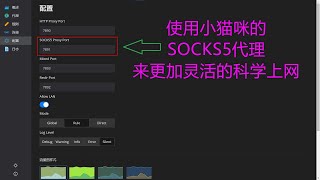 使用OpenClash的Socks5代理上网 [upl. by Minica125]