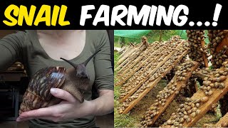 African Giant Snail Farming  Giant African Land Snail Farming Guide [upl. by Spain]