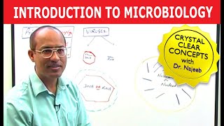 Introduction to Microbiology [upl. by Renzo]