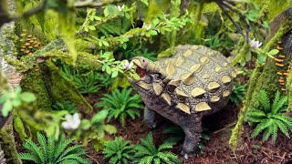 “Anodontosaurus in the forest” dinosaur diorama [upl. by Neeoma]