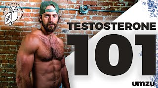 Testosterone 101 How To Increase Testosterone LH and FSH [upl. by Antonina]