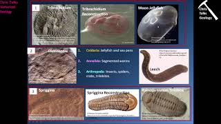 Precambrian Earth and Life History The Proterozoic Eon Part 2  Part 3 [upl. by Eerased510]