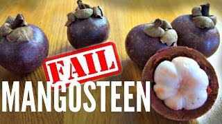 MANGOSTEEN Taste Test  how not to pick a mangosteen  Fruity Fruits [upl. by Ennagroeg306]