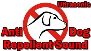 Ultrasonic dog repellent sound  Chase the dog away stopdogs staysafe staystrong dogs [upl. by Ateikan]