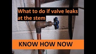 Fix Shut Off Valve Leaking at Stem [upl. by Hpotsirhc]