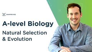 Natural Selection amp Evolution  Alevel Biology  OCR AQA Edexcel [upl. by Hait]