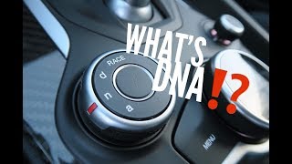 The DNA Driving Modes In The Alfa Romeo Giulia EXPLAINED [upl. by Nythsa]