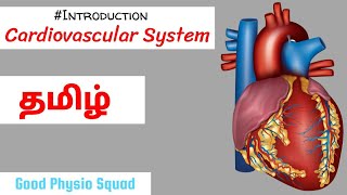 Physiology  Introduction to the Cardiovascular System in Tamil Lecture [upl. by Oijimer72]