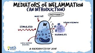 Mediators of Inflammation An Introduction [upl. by Betti]