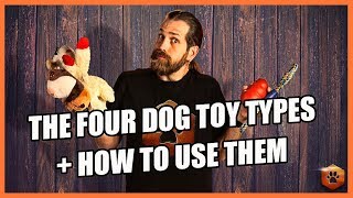 How to Use the 4 Types of Dog Toys RIGHT [upl. by Enitsirt846]