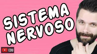 SISTEMA NERVOSO  FISIOLOGIA  Aula  Biologia com Samuel Cunha [upl. by Hadik]