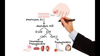 Pharmacology  NSAIDs amp PROSTAGLANDIN ANALOGS MADE EASY [upl. by Aicats]