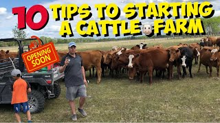 Starting a Beef Cattle Farm 10 TIPS for beginners to start a Cattle Ranch [upl. by Nohshan]