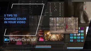 5 Easy Tips to Change Color in Your Video  PowerDirector Tutorial [upl. by Agnimod]