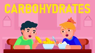 What are Carbohydrates What are its different Types [upl. by Atiuqet178]