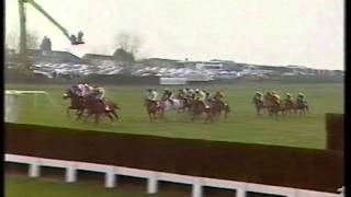 1996 Bonusprint Stayers Hurdle [upl. by Meeharbi112]