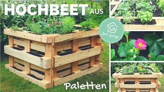 Hochbeet aus Europaletten selber bauen  Bauanleitung  Beet aus Paletten  Palettenmöbel  DIY [upl. by Danziger]