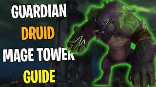 Guardian Druid Mage Tower Guide Dragonflight  Mage Tower Boost [upl. by Raama]