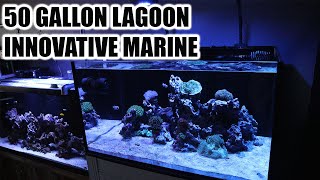 INNOVATIVE MARINE 50 GALLON LAGOON REVIEW AND OVERVIEW 2020 [upl. by Emmaline]