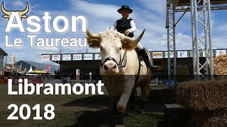 Aston Le Taureau  Libramont 2018 [upl. by Melcher]