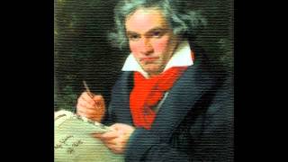 Ludwig van Beethoven  Symphony No 5 Full [upl. by Enneirda284]