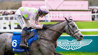 Cheltenham Festival 2024 Day 1  Highlights amp Interviews [upl. by Darnall92]