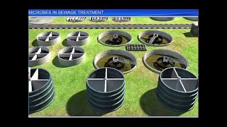 CBSE Class 12 Biology  Microbes In Sewage Treatment [upl. by Schifra]