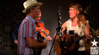 Foghorn Stringband  Im Longing For Home Live at WAMUs Bluegrass Country [upl. by Ime]