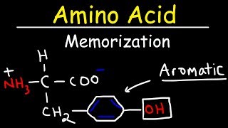 Memorize The 20 Amino Acids  The Easy Way [upl. by Ajile]