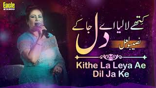 Kithe La Leya Ae Dil Ja Ke  Naseebo Lal  Eagle Stereo  HD Video [upl. by Milzie]