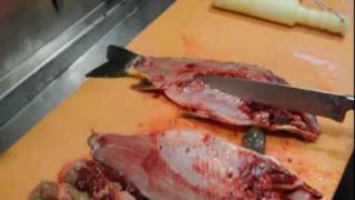 Karpfen zerlegen und filetieren  How to cut and filet carp [upl. by Elyc]