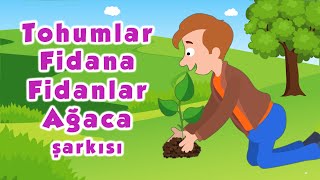 Tohumlar Fidana Fidanlar Ağaca Şarkısı [upl. by Asirb]