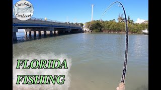 Florida Inshore Fishing Fort Myers amp Sanibel Island MultiSpecies [upl. by Nahpets]