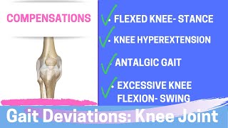 Gait Deviations Compensatory Knee Joint Strategies [upl. by Irual]