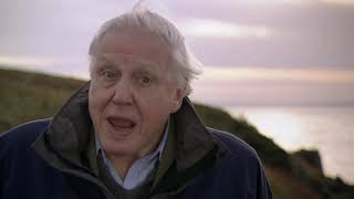 Cambrian Explosion  First Life with David Attenborough [upl. by Morry]