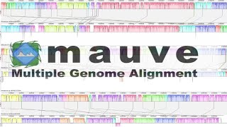 Using MAUVE for multiple genome alignments [upl. by Sixel537]