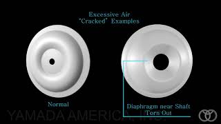 Troubleshooting Diaphragm Pump Problems [upl. by Cohen753]