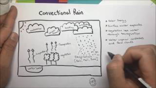 Convectional Rain complete [upl. by Htrahddis]