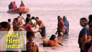 Taking a holy bath Gangasagar mela [upl. by Euf]