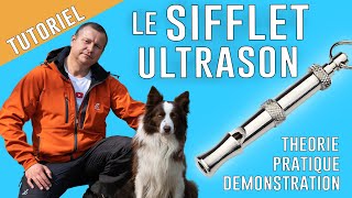 Comment UTILISER un SIFFLET ULTRASON pour CHIEN [upl. by Jaquenetta]