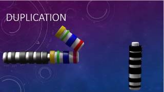 CHROMOSOMAL STRUCTURE DELETIONS DUPLICATIONS TRANSLOCATIONS INVERSIONS [upl. by Fullerton]