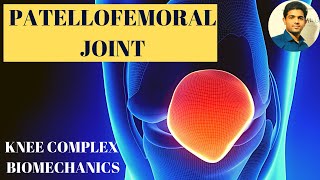 PATELLOFEMORAL JOINT PATELLA ANATOMY amp BIOMECHANICS [upl. by Latham]