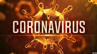 CORONAVIRUS quotD1ST1quot [upl. by Meer]