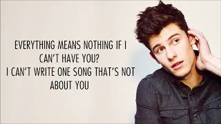 Shawn Mendes  If I Cant Have You Lyrics [upl. by Annaitat33]