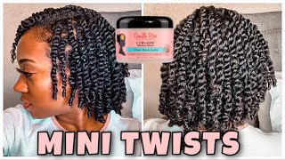 JUICY MINI TWISTS ON NATURAL HAIR  Protective Style [upl. by Lenrad]