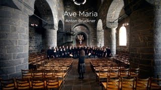 Schola Cantorum  Ave Maria Bruckner [upl. by Lemal]