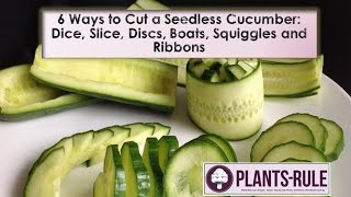 6 Ways to Cut a Seedless Cucumber Dice Slice Discs Boats Squiggles and Ribbons from PlantsRule [upl. by Ronyam]