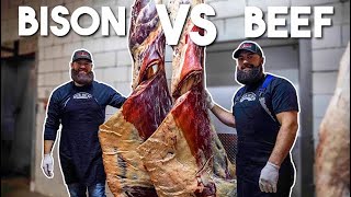 BISON vs BEEF The Ultimate Comparison  The Bearded Butchers [upl. by Jodoin945]